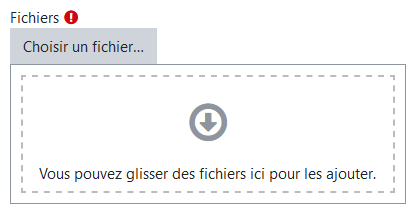 Vous pouvez glisser des fichiers ici.
