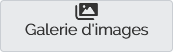 Type de contenu Galerie d'images