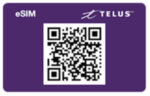 Site Web Services informatiques > Est-ce possible d'utiliser une carte eSIM? > image-2025-9-24_15-36-47-1.png